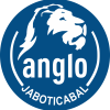 Logo anglo